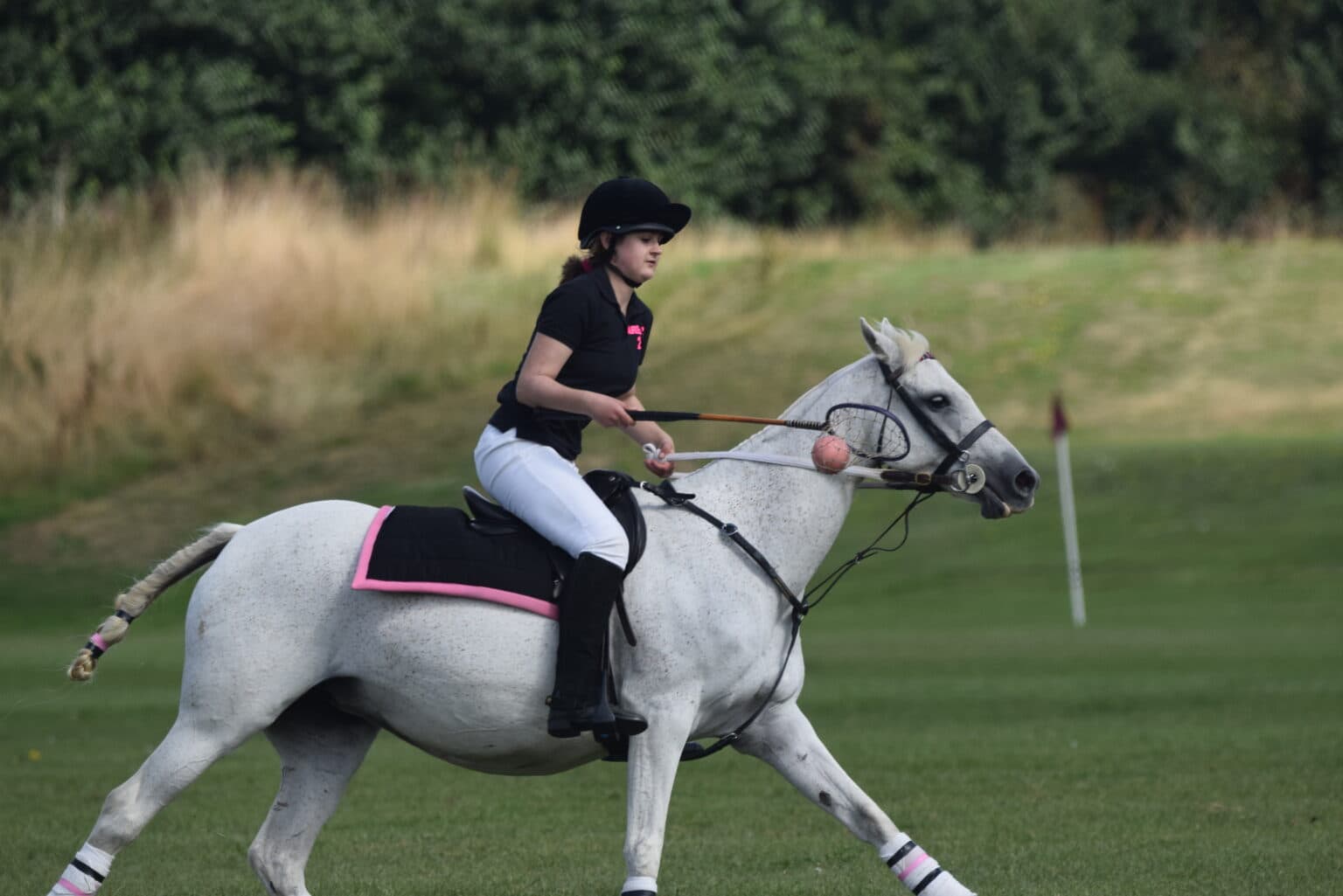 Polocrosse players