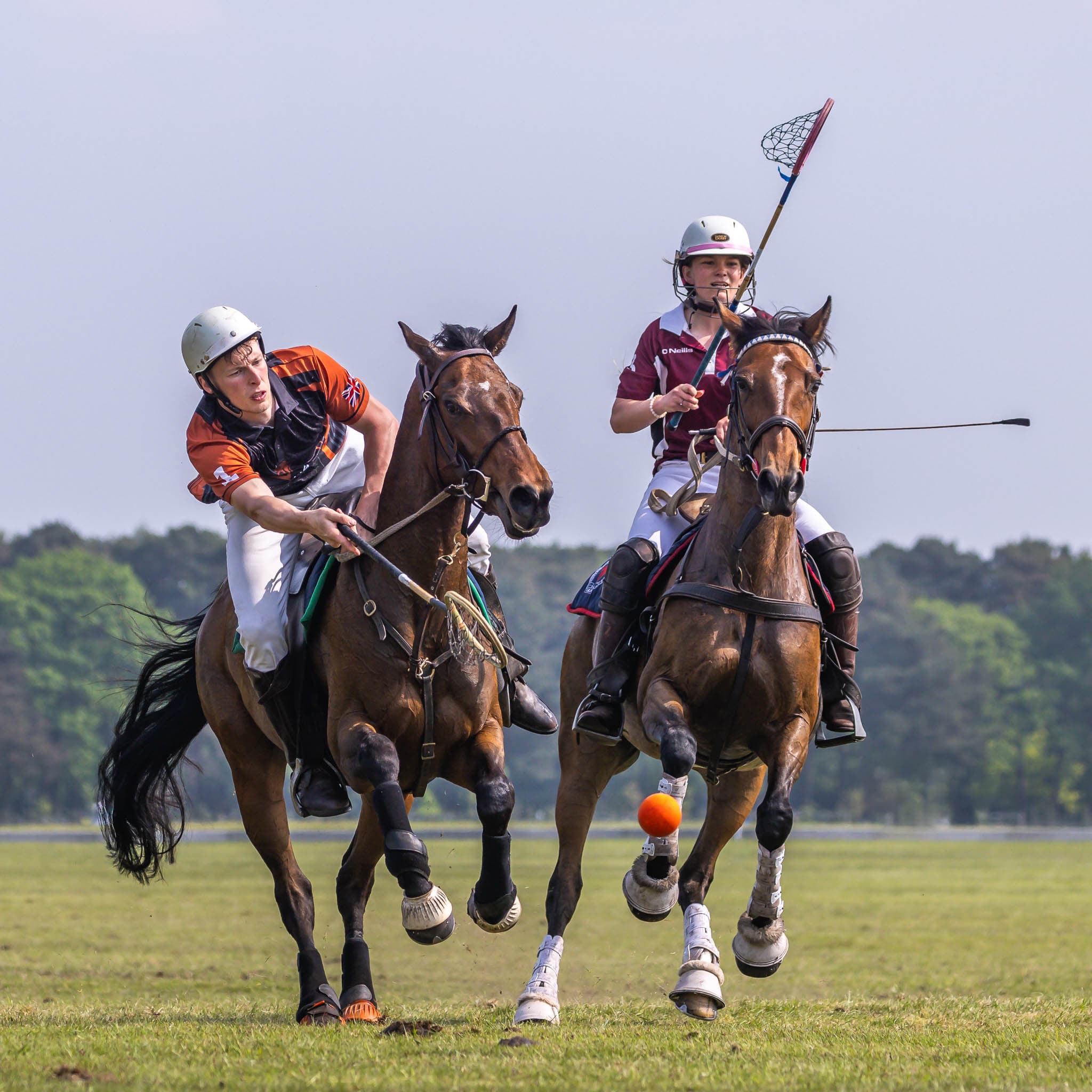 Polocrosse in action